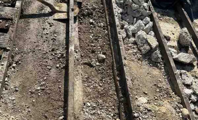 Pisciniste, Savigny, ALGA PISCINE