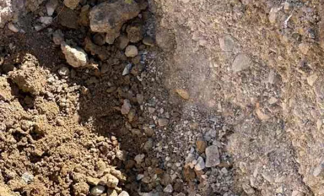 Pisciniste, Savigny, ALGA PISCINE