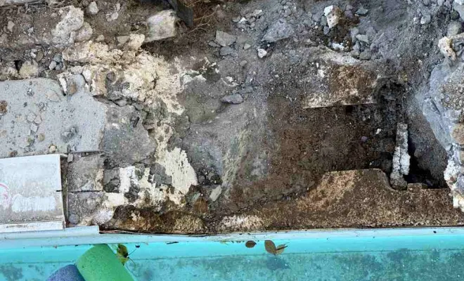 Pisciniste, Savigny, ALGA PISCINE